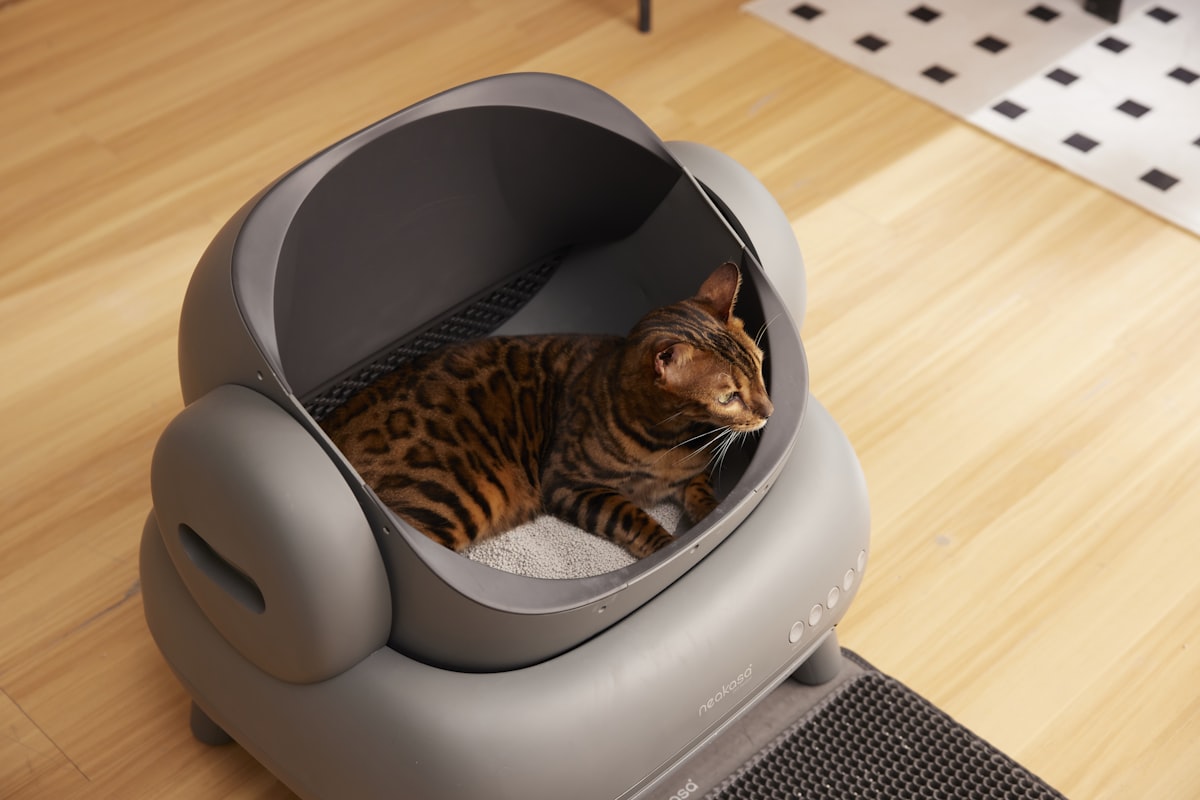 best cat litter box enclosed stainless steel