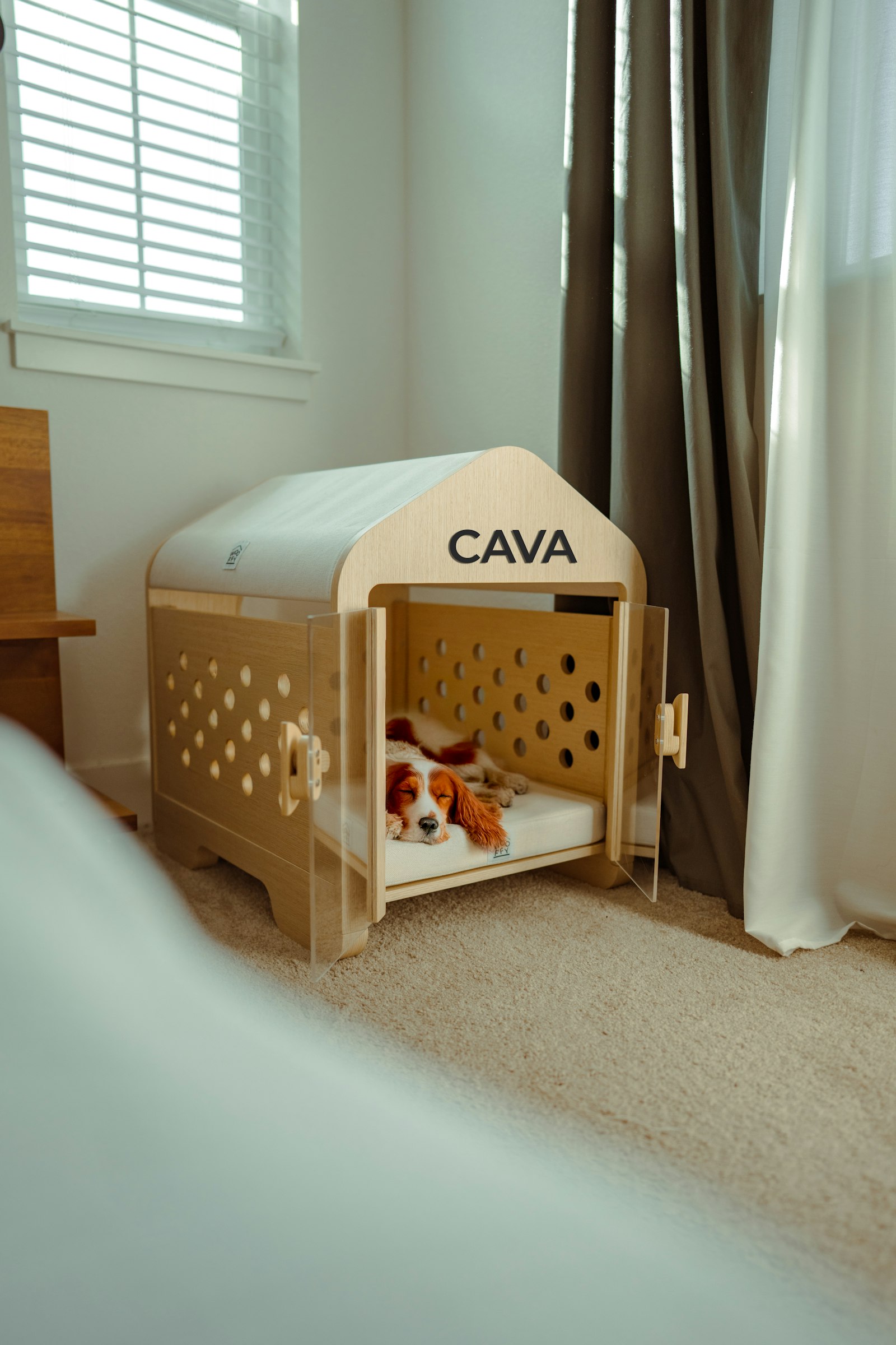 Best Dog Crate — dog resting in a modern crate design