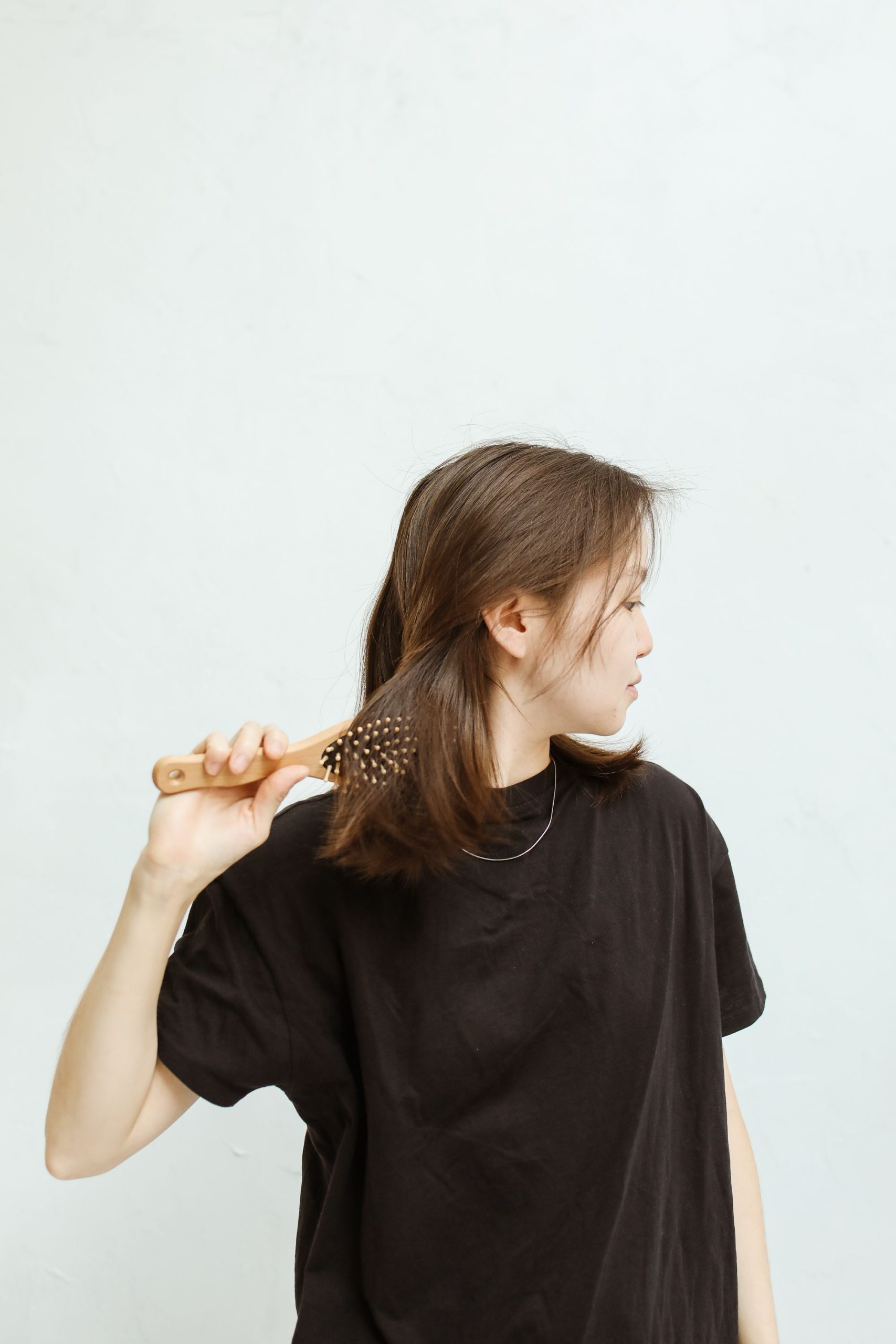 best pet grooming brush - dog being brushed with a deshedding grooming tool
