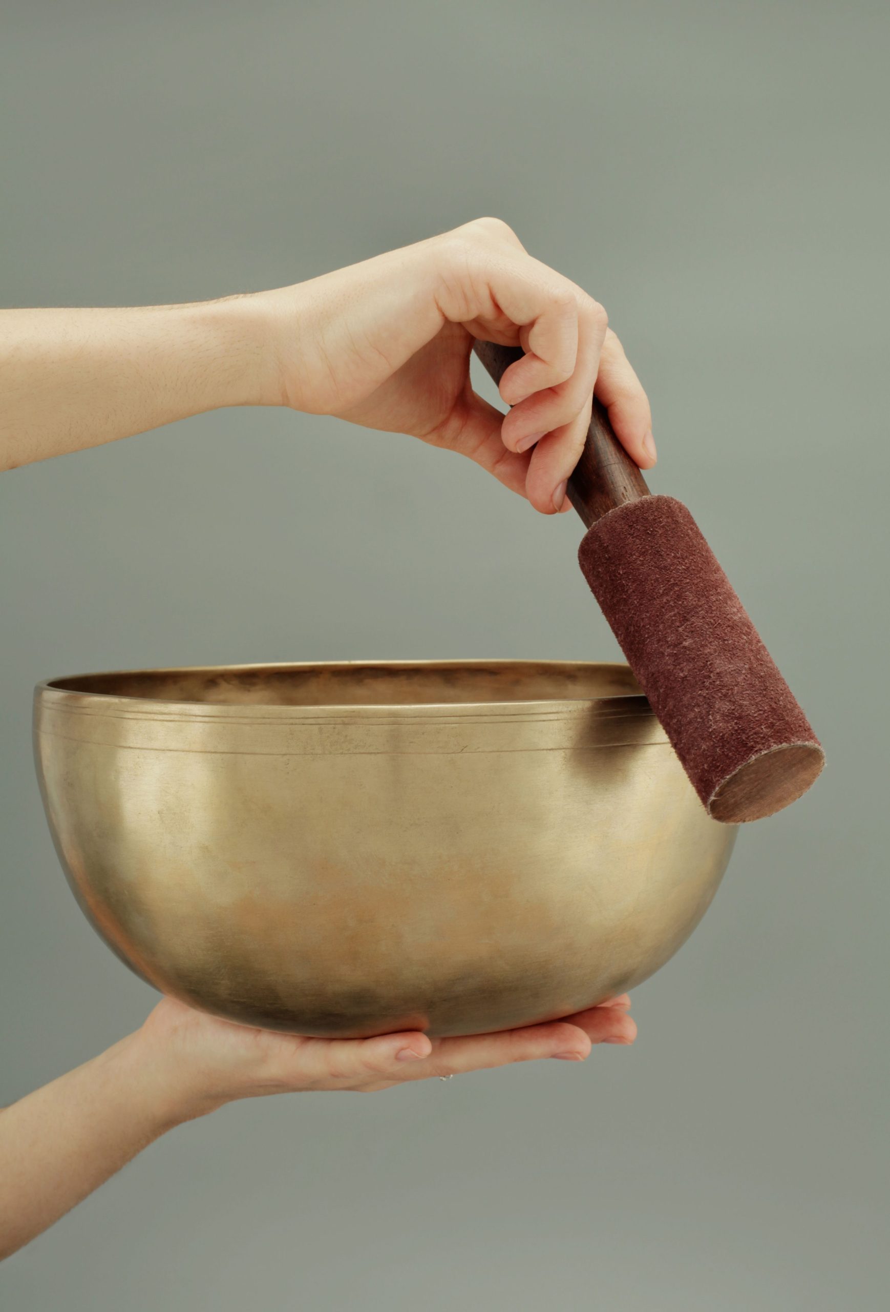 best slow feeder bowl - dog eating from a maze-pattern slow feeder bowl