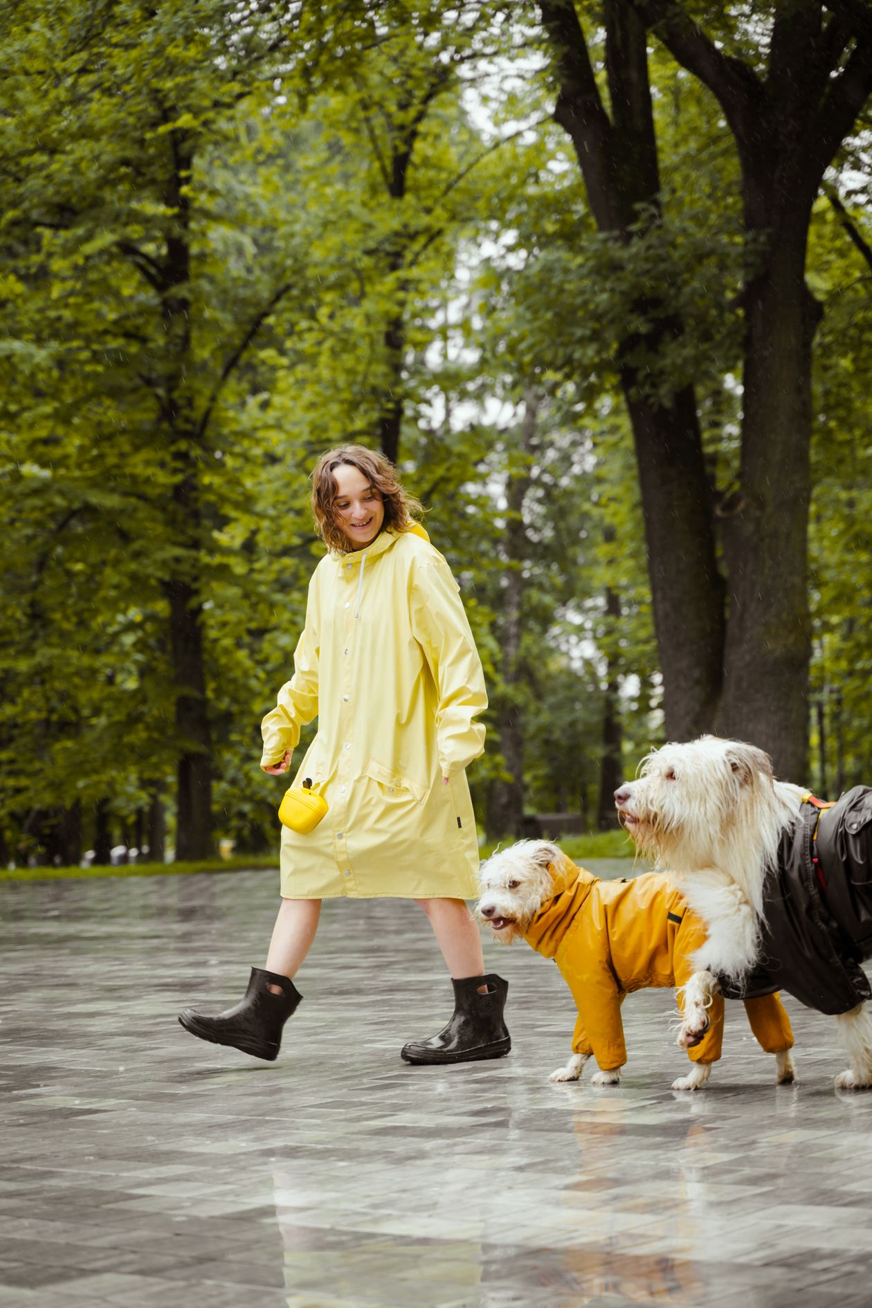 Two dogs in raincoats on a rainy day